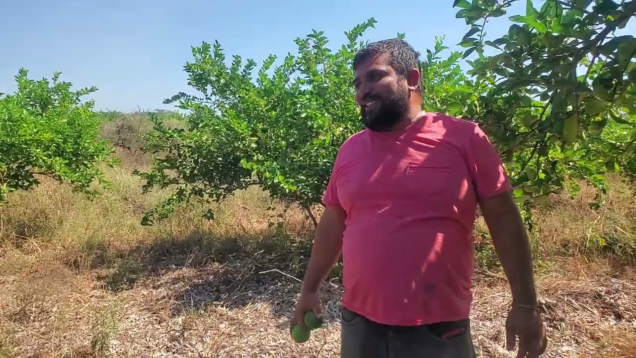 Se vende Terreno de 3 Manzanas a 140,000 Quetzales la manzana con Limon
