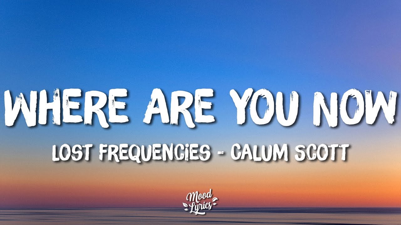 Lost Frequencies & Calum Scott - Where Are You Now (Lyrics)