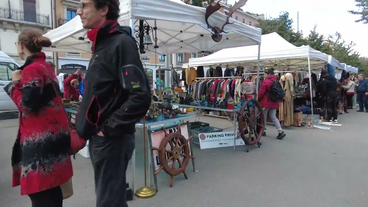 Visit the flea market on Plainpalais and the farmer's market in Carouge (4K)