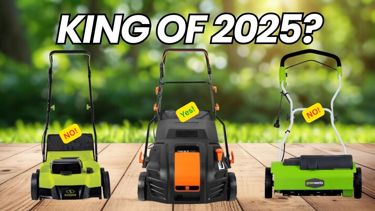 5 Best Lawn Dethatchers - Winners of 2025