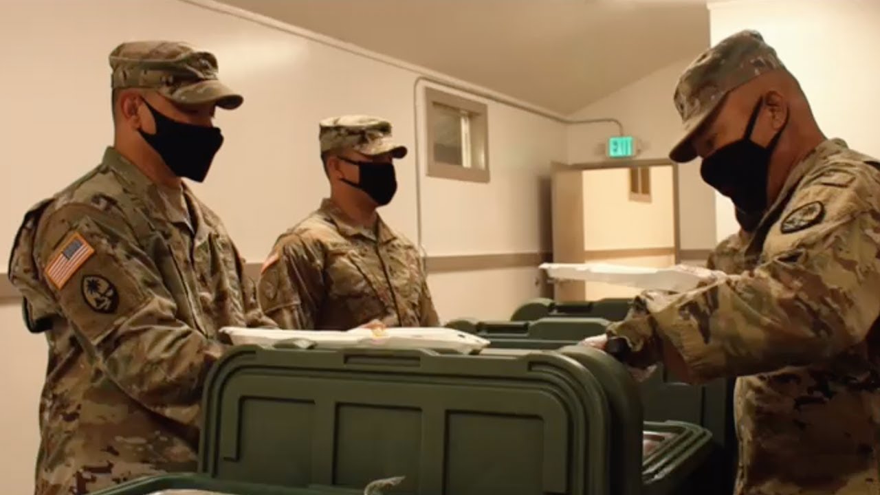 Part 3: Security Forces (SECFOR) 4-DCO Annual Training