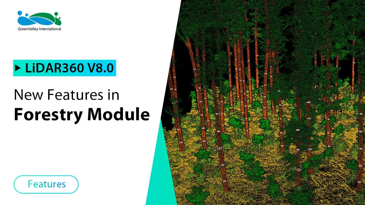 Exploring LiDAR360 v8 Forestry Module: Advanced Tool for Smarter Forest Analysis