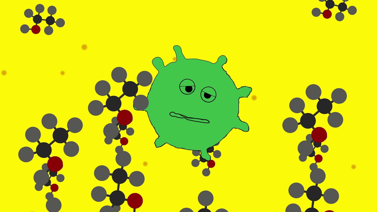 Malolactic Fermentation