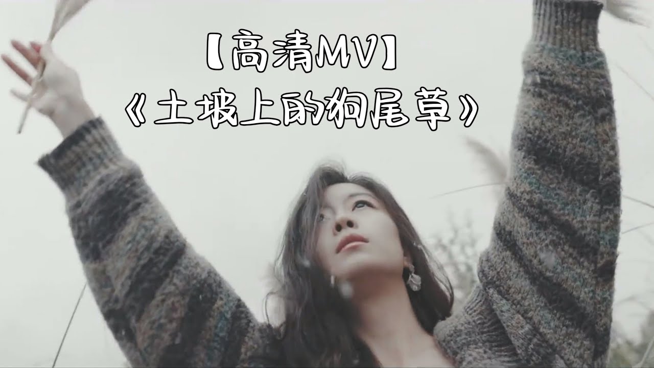 【高清MV】《土坡上的狗尾草》 (温柔女生版) - 卢润泽『土坡上狗尾巴草搖啊，搖得人眼淚掉』抖音2024年月很火的歌曲｜还等什么呢 赶紧去听吧