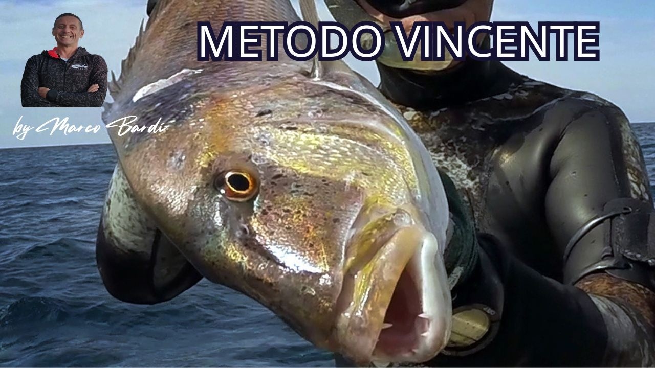 Pesca Sub il metodo vincente