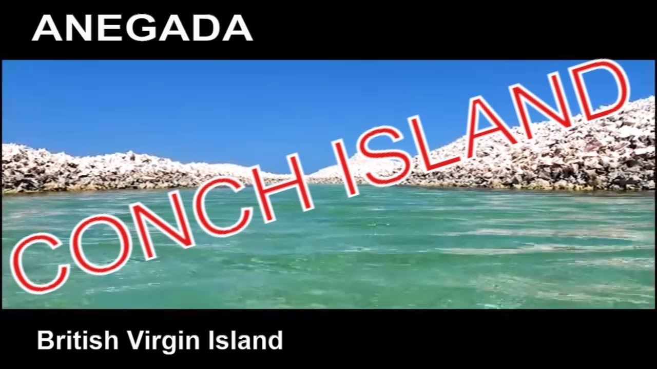 Discover Anegada: The Third Largest Coral Barrier Reef
