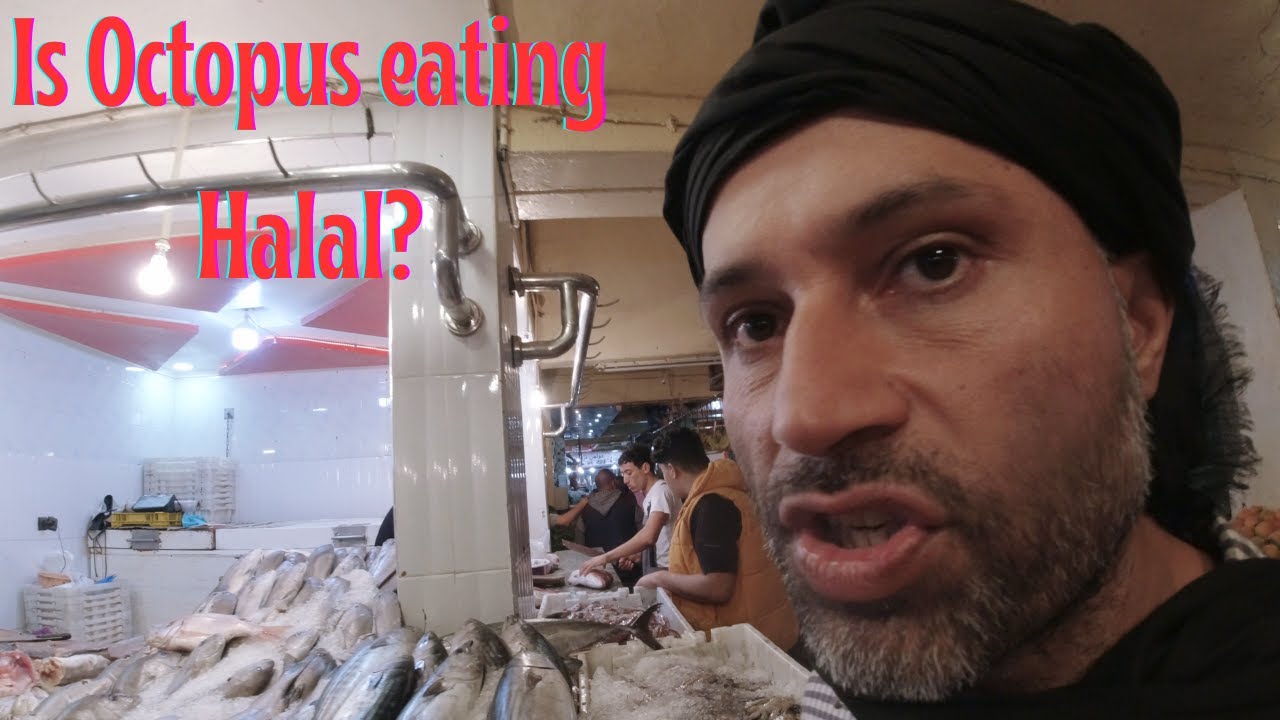 Is Octopus Halal? Exploring Dakhla's Culinary Delights & Kayaking Adventures
