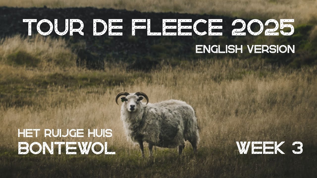 Tour de Fleece 2025, week 3 (English version)