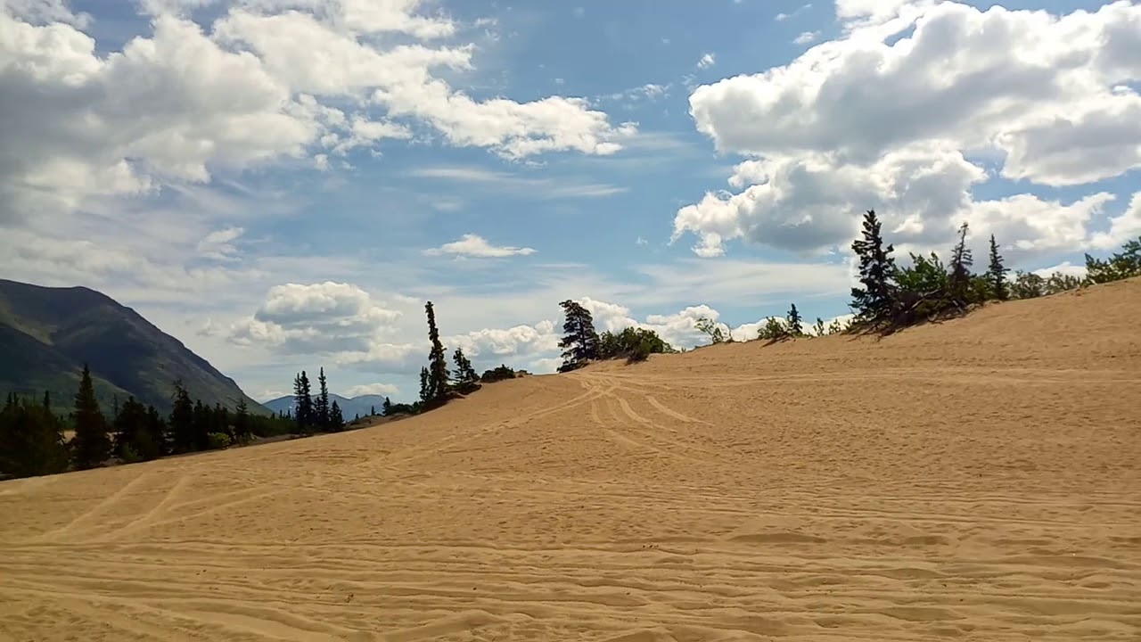 Юкон, Канада, пустыня Каркросс (Carcross Desert). Самая маленькая пустыня в мире.