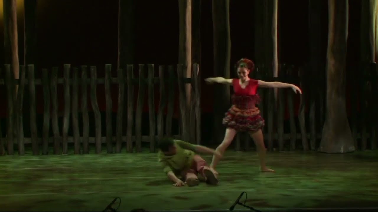 THE BIRD -  PETER AND THE WOLF