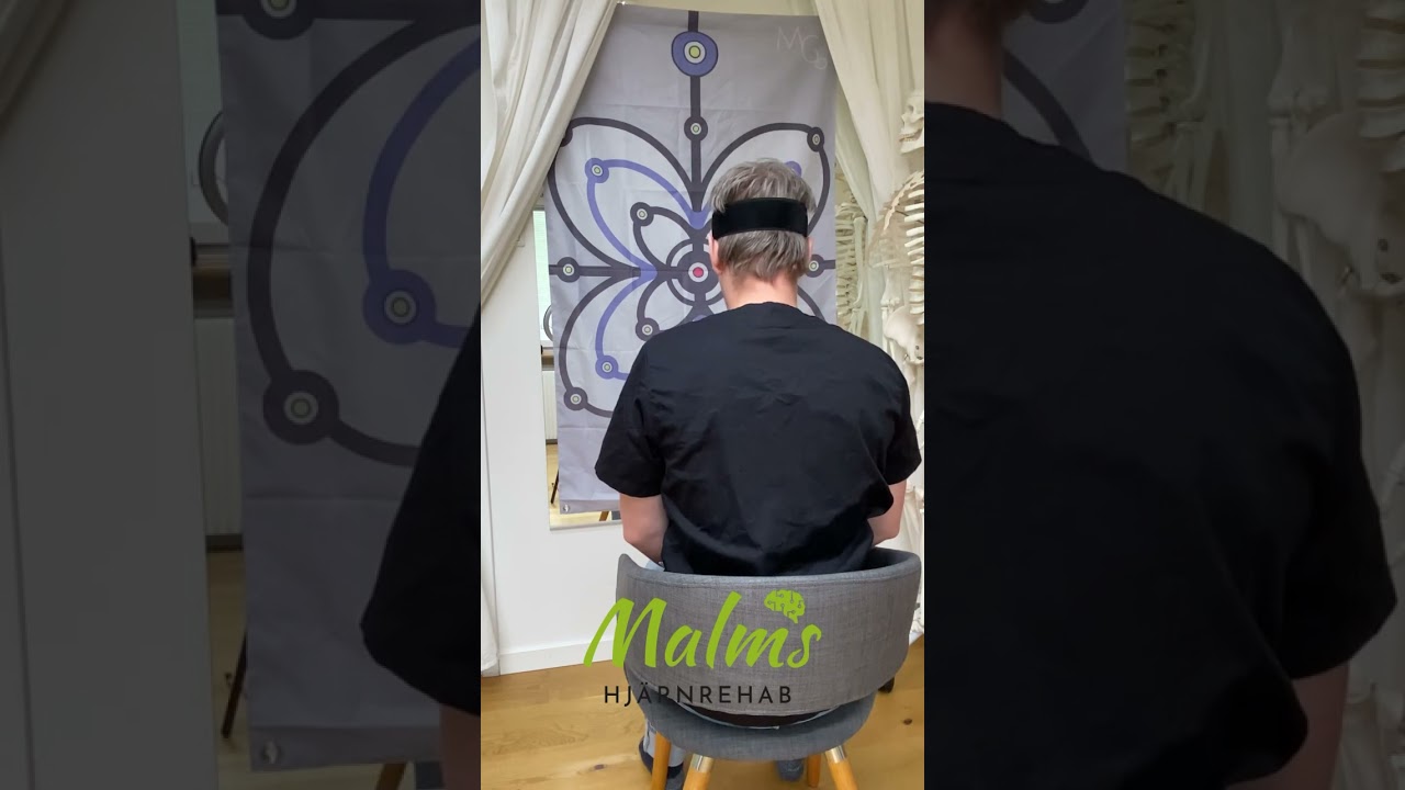 Rehabilitering efter hj&auml;rnskakning