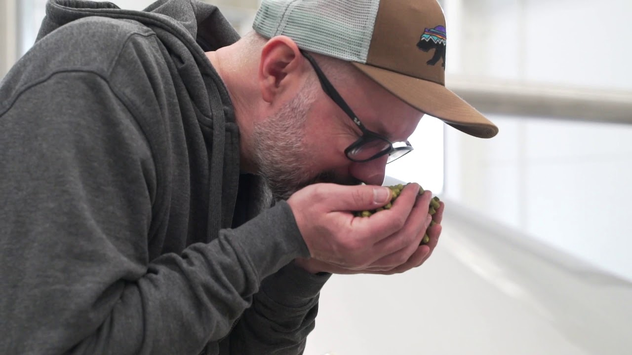 In English: Browar PINTA: How we brew our bestseller Atak Chmielu (IPA) in our new brewery: 2020