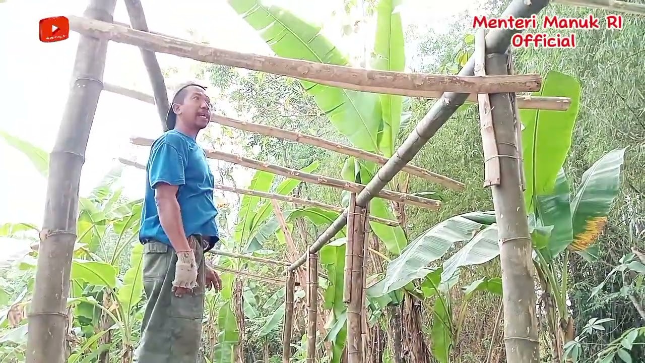 KANDANG KAMBING BAMBU PALING KOKOH DAN KEREN