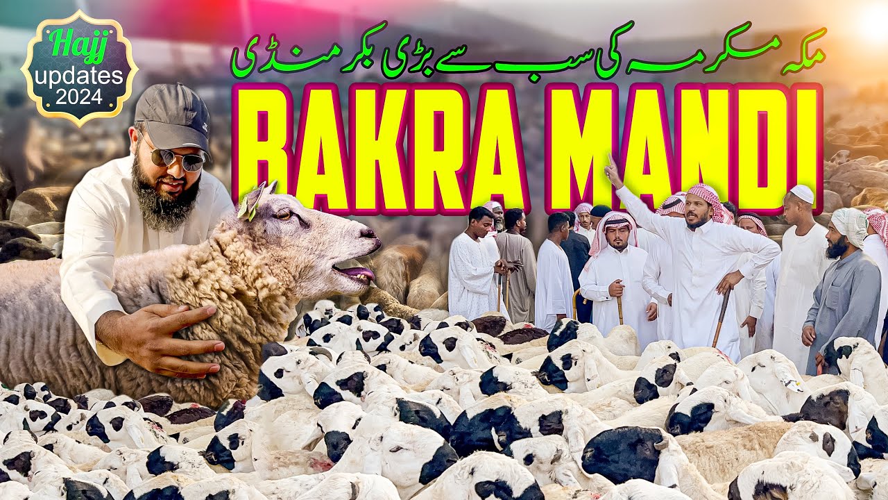 Makkah ki sab se bari bakra mandi | latast hajj 2024 updates today