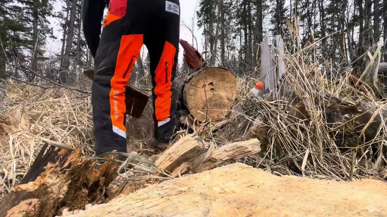 Experimental everything  266/066 -56mm 84.5 cc # burn the rule book