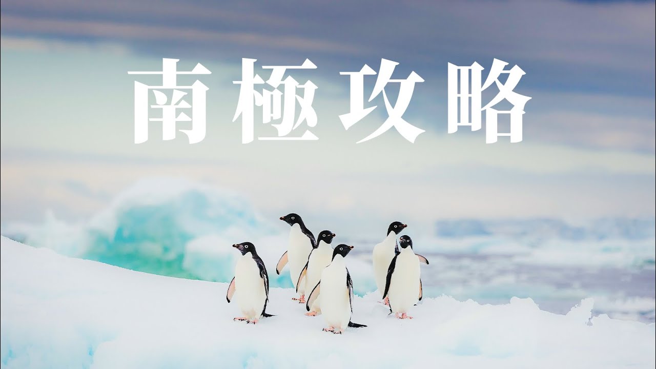 🇦🇶 南極旅遊全攻略！如何計劃你的南極旅行？🐧 南極船票獨家優惠（不斷更新）