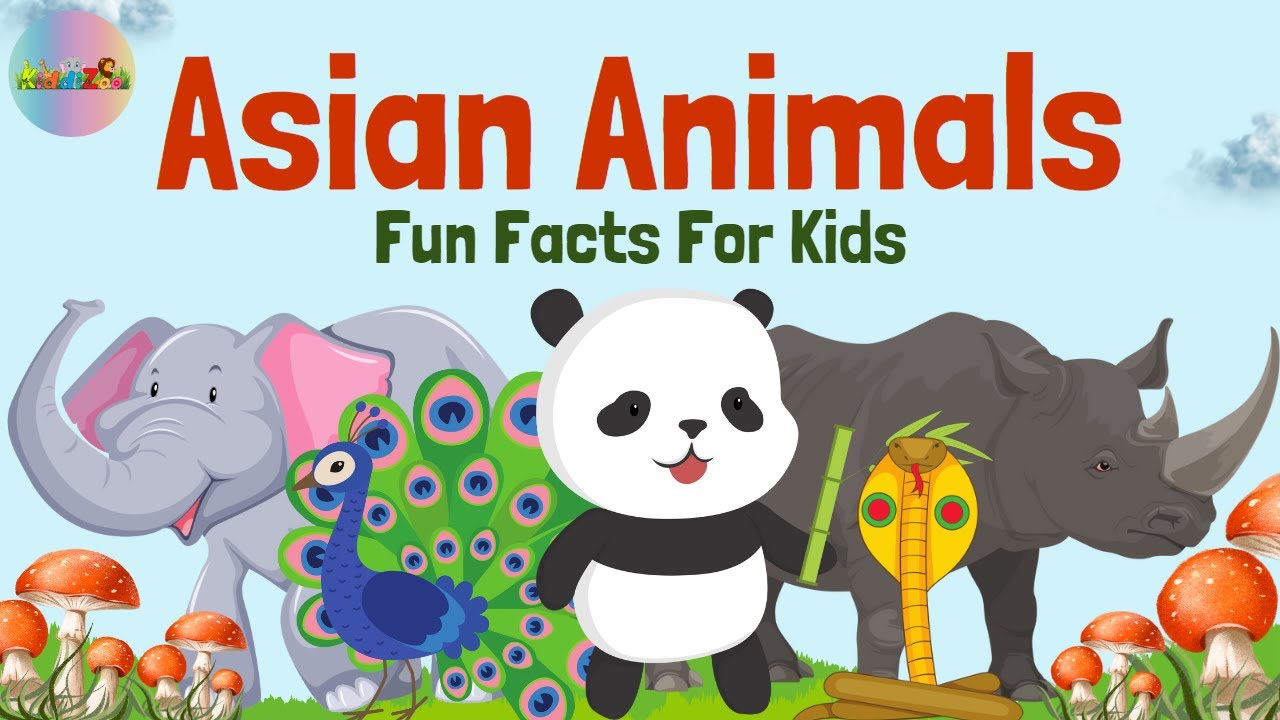 Asian Animals - Fascinating Animal Facts From Asia 