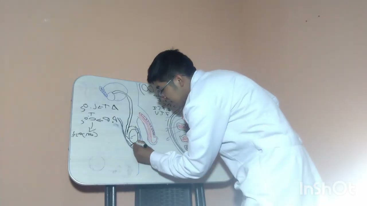 CASO CLÍNICO TORCION TESTICULAR 