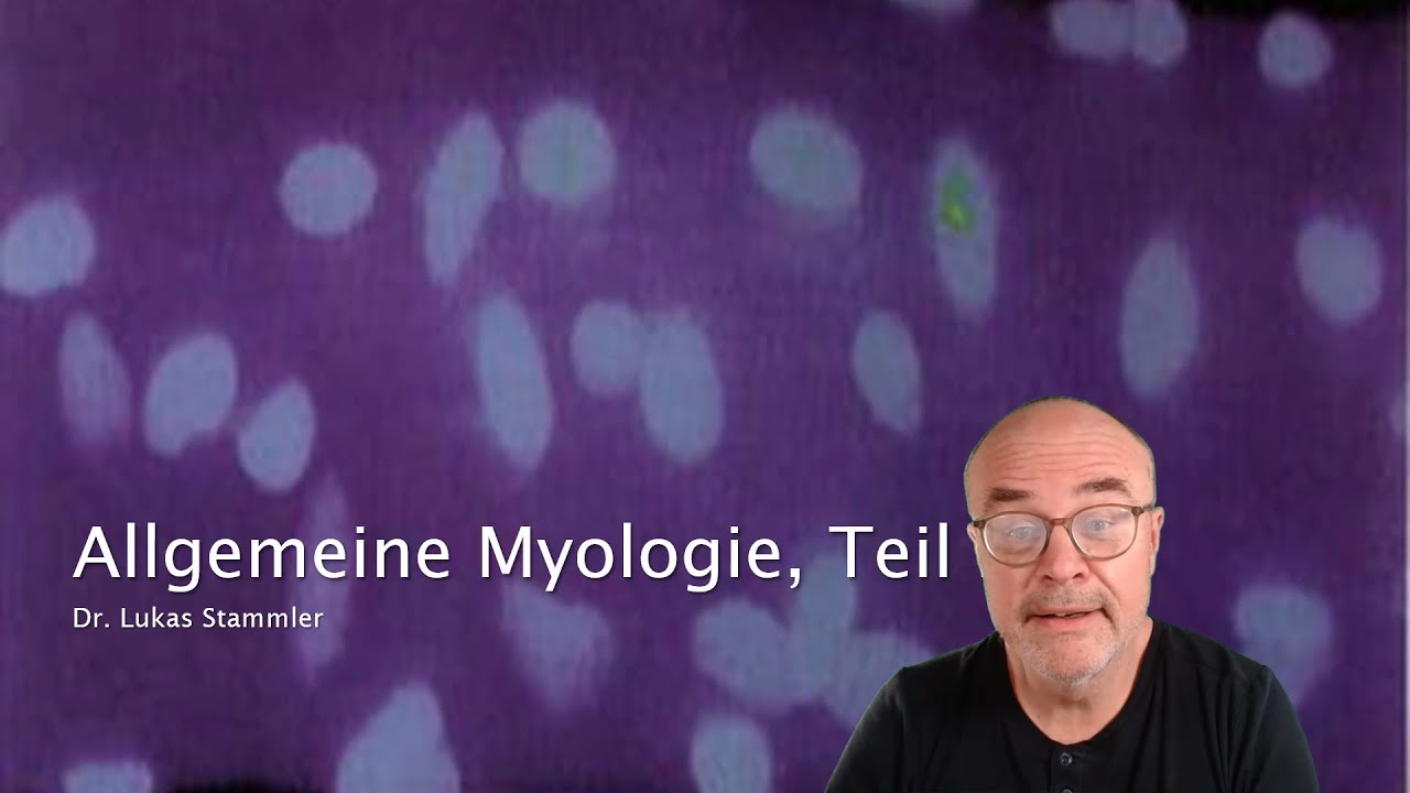 Allgemeine Myologie 2. Teil
