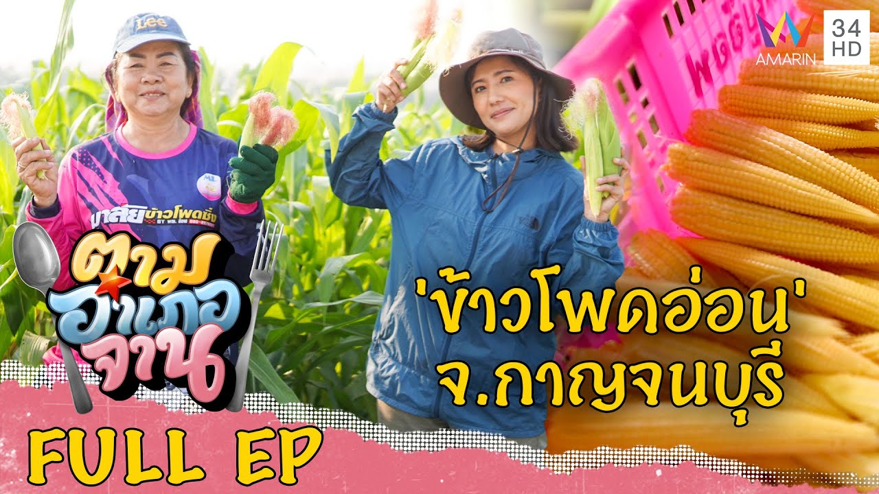 ลุยเก็บ 'ข้าวโพดอ่อน' จ.กาญจนบุรี | ตามอำเภอจาน | 20 พ.ค.66 Full EP