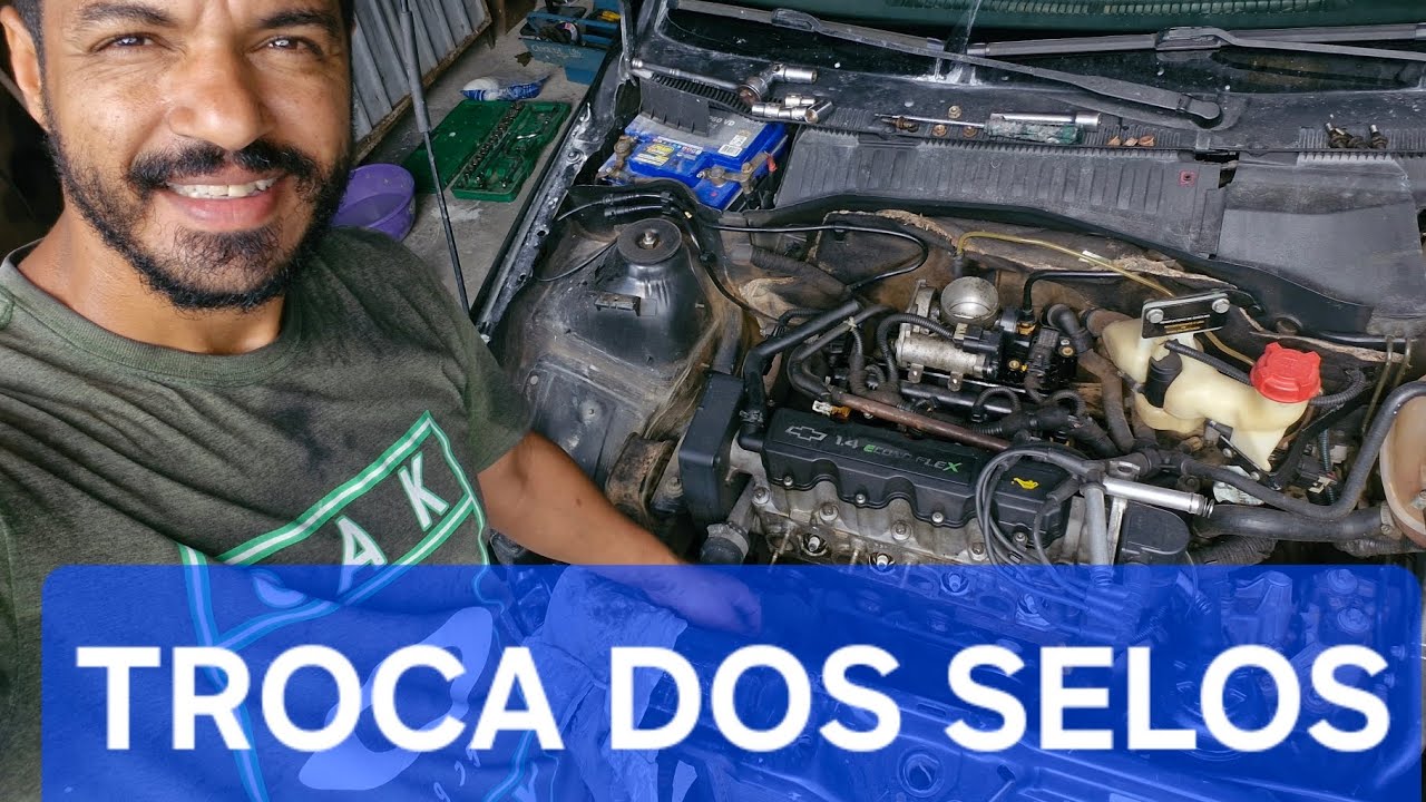 VAMOS TROCAR OS SELOS DA MONTANA. CATALISADOR BOM!🥰 #VIDAETERNA 