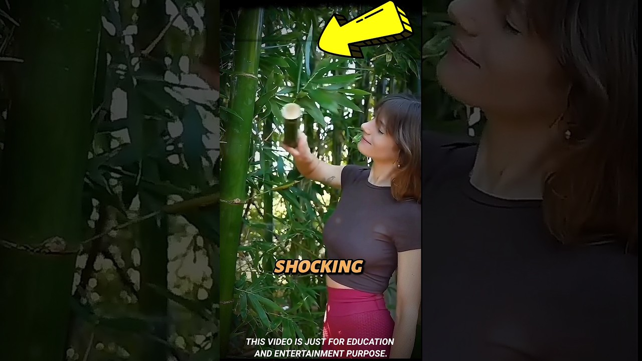 The Shocking Secret Inside Bambob #didyouknow