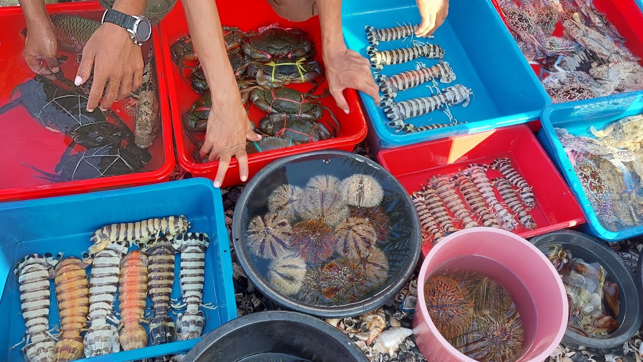 CRAZY FRESH Seafood In SEMPORNA