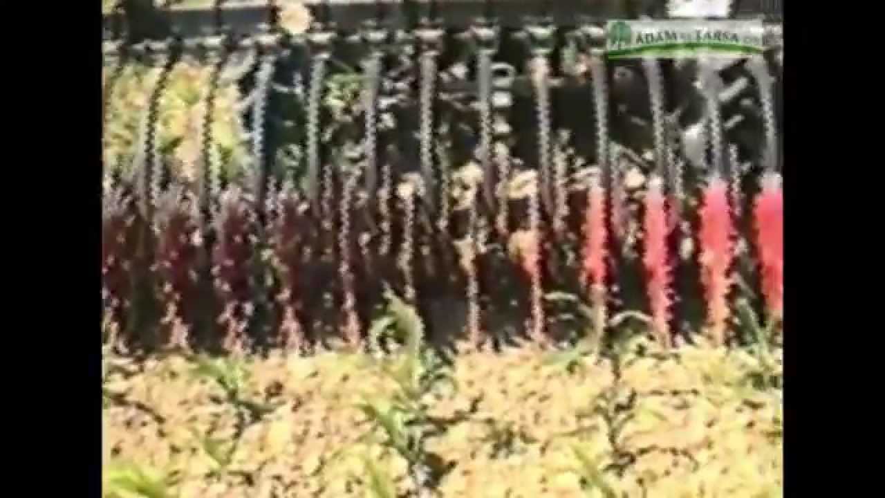 Küllős kapa fontossága - Ádám és társa Kft.