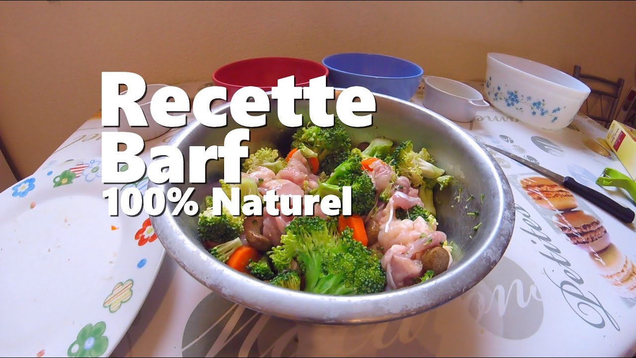 Ma premi&egrave;re recette de BARF pour chien - 100% naturel