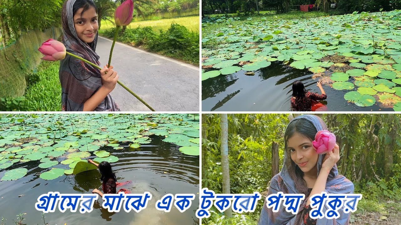 পদ্ম পুকুর থেকে পদ্ম ফুল আনতে গিয়ে আমাদের সাথে যা ঘটেছে 🥴Tazreen Tisha |new vlog video