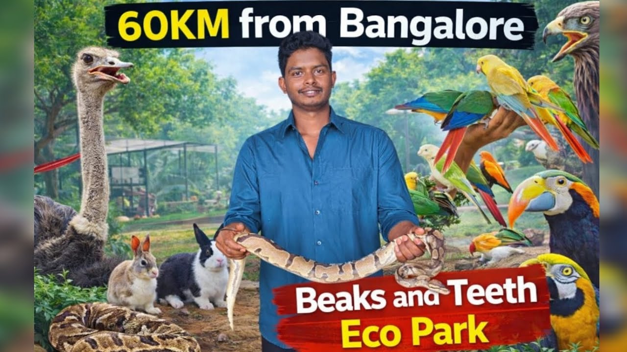 Hidden Gem near Isha Foundation! 🦜 Beaks & Teeth Eco Park Tour 🐢