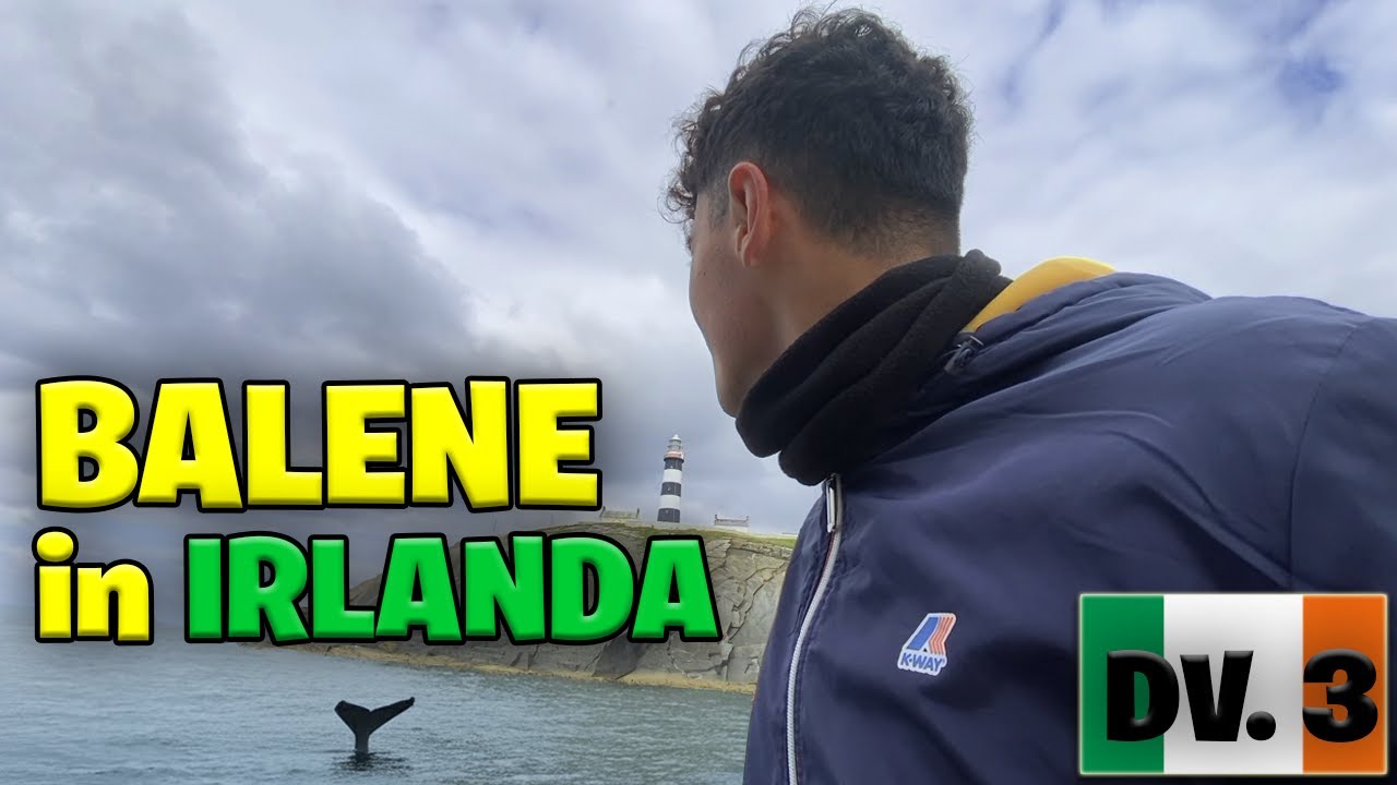 È possibile AVVISTARE BALENE nell'oceano Atlantico Irlandese?
