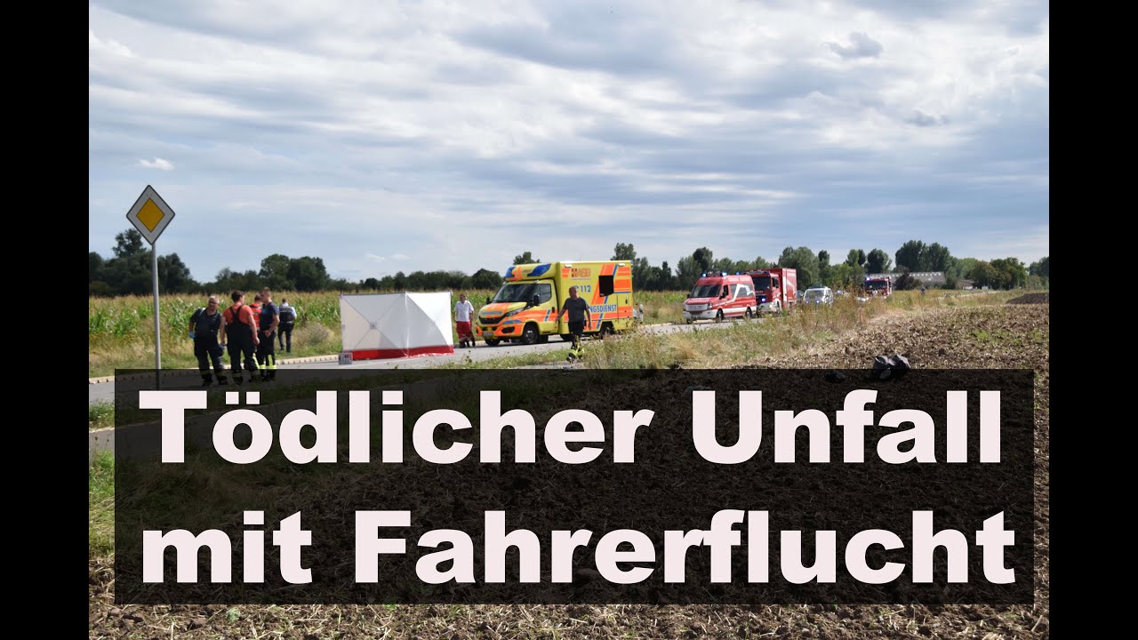 Unfall mit Fahrerflucht bei Heddesheim: Fahrradfahrer tödlich verletzt - Zeugenaufruf der Polizei