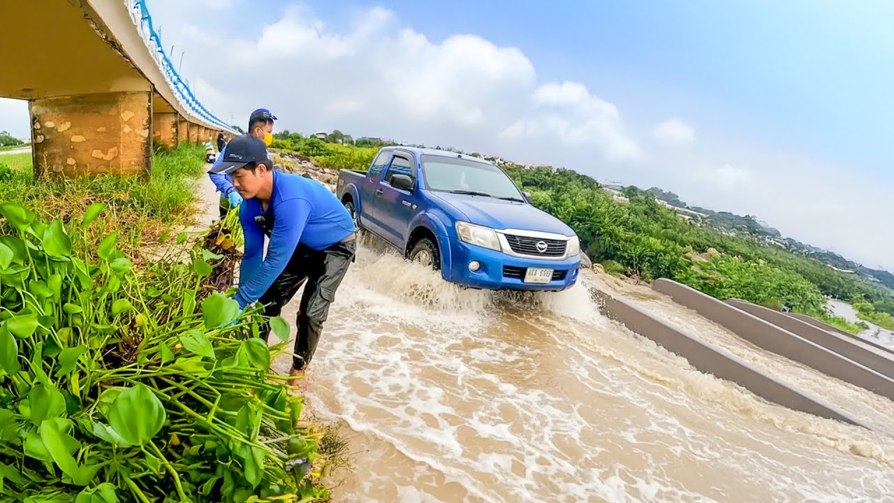 Flash Flooding on Dam Drain Removing All Floating Plants
