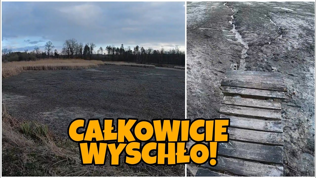 Szykują się ciekawe poszukiwania! Odc.648