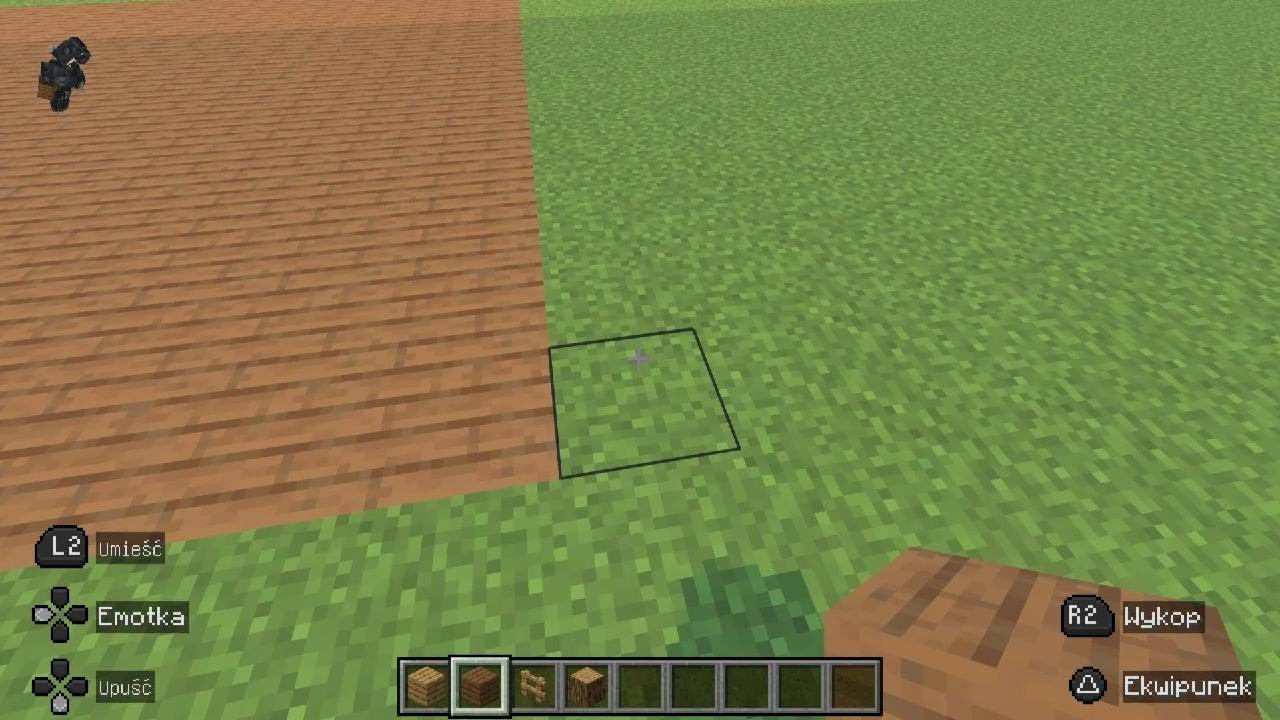 Minecraft Hi