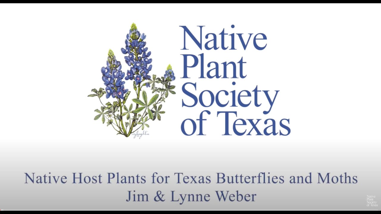 Native Host Plants for Texas Butterflies and Moths