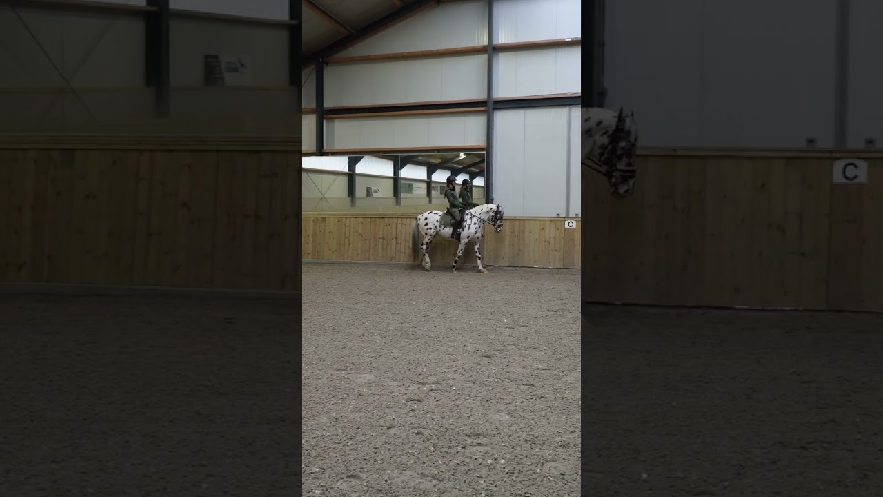 Dressuurclinic Marlon van Wissen en Fleur van der Scheer - Deel 4