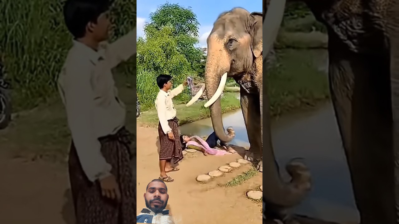 elephant Ne kar dikhaya new video full watch 😱#shorts #rescue#animals#rescueefforts