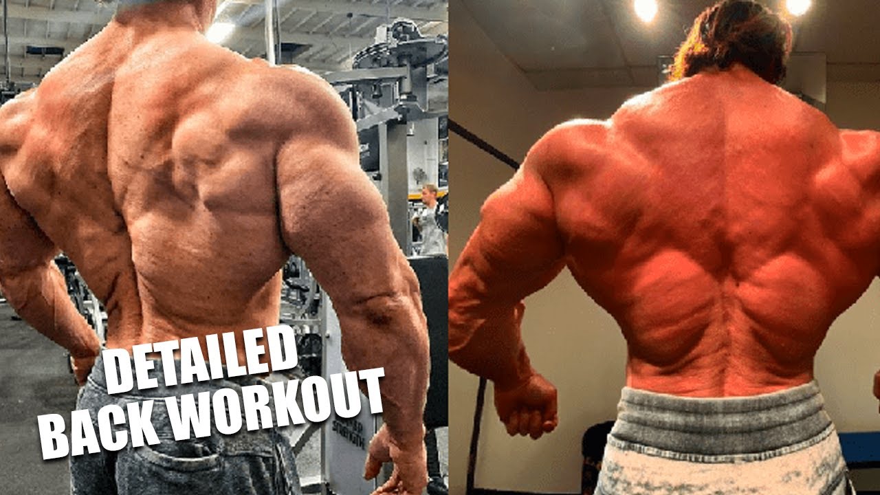 Detailed Back Workout For A Defined Back