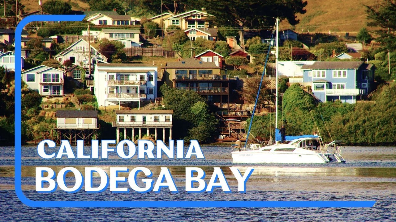 7 Fun Things to do in Bodega Bay California | Best Clam Chowder & Oysters in the World?
