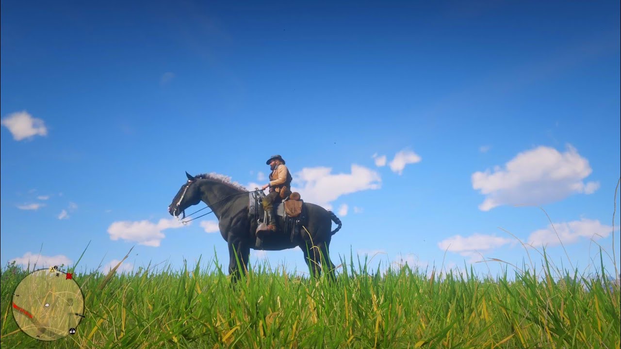 🤠 Es momento de buscar una revolver exótica con el médico 🤠