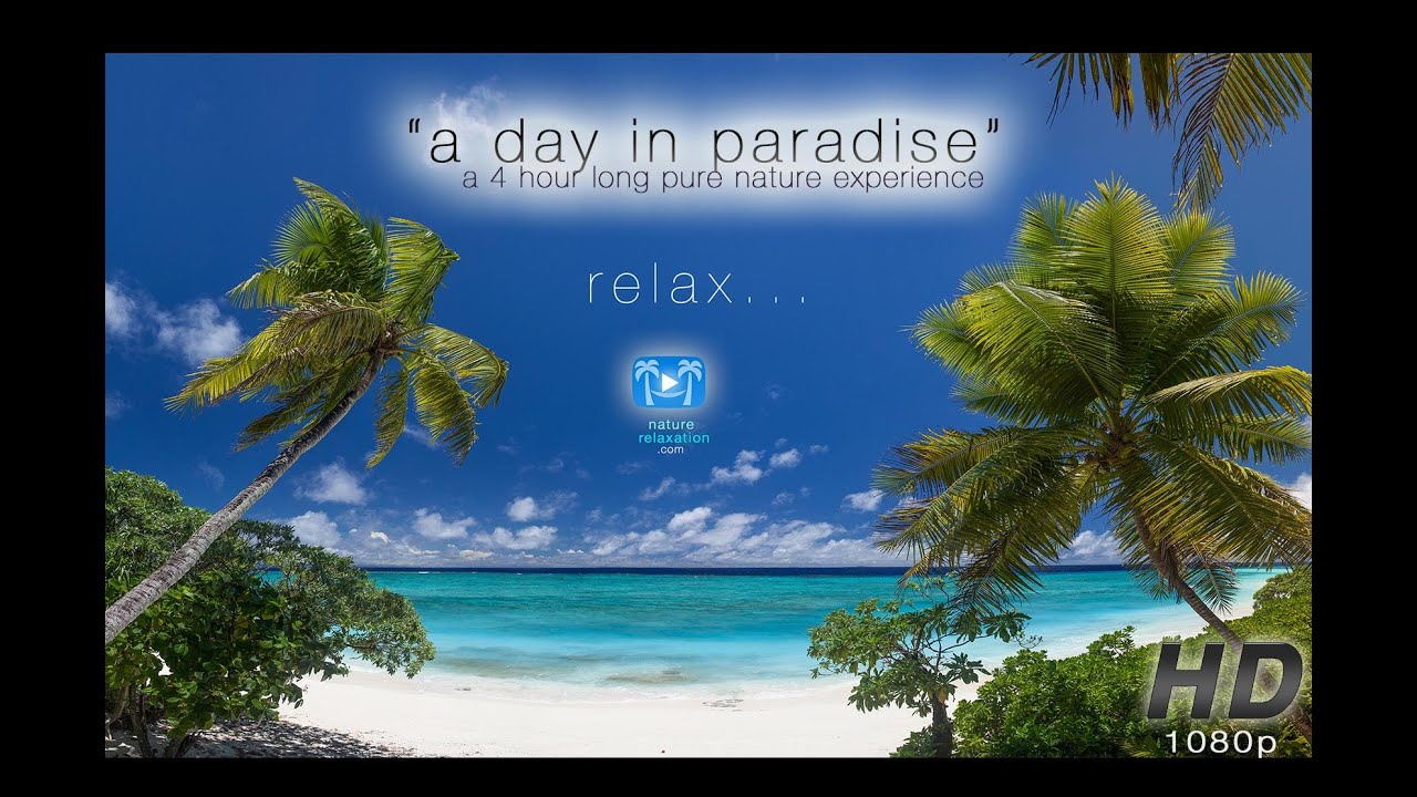 4 HOURS Real Time Nature : 