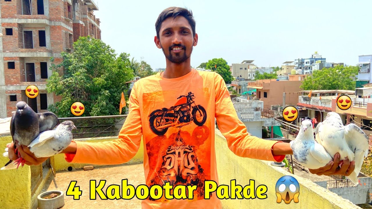 पहली बार एक साथ 4 कबूतर पकड़े 😱 !! Try To Catch Four Pigeon 🕊️ in One Day !! एक से एक कबूतर पकड़े