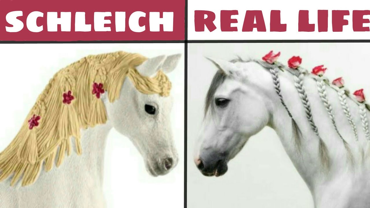 Schleich Pferde in  REAL LIFE