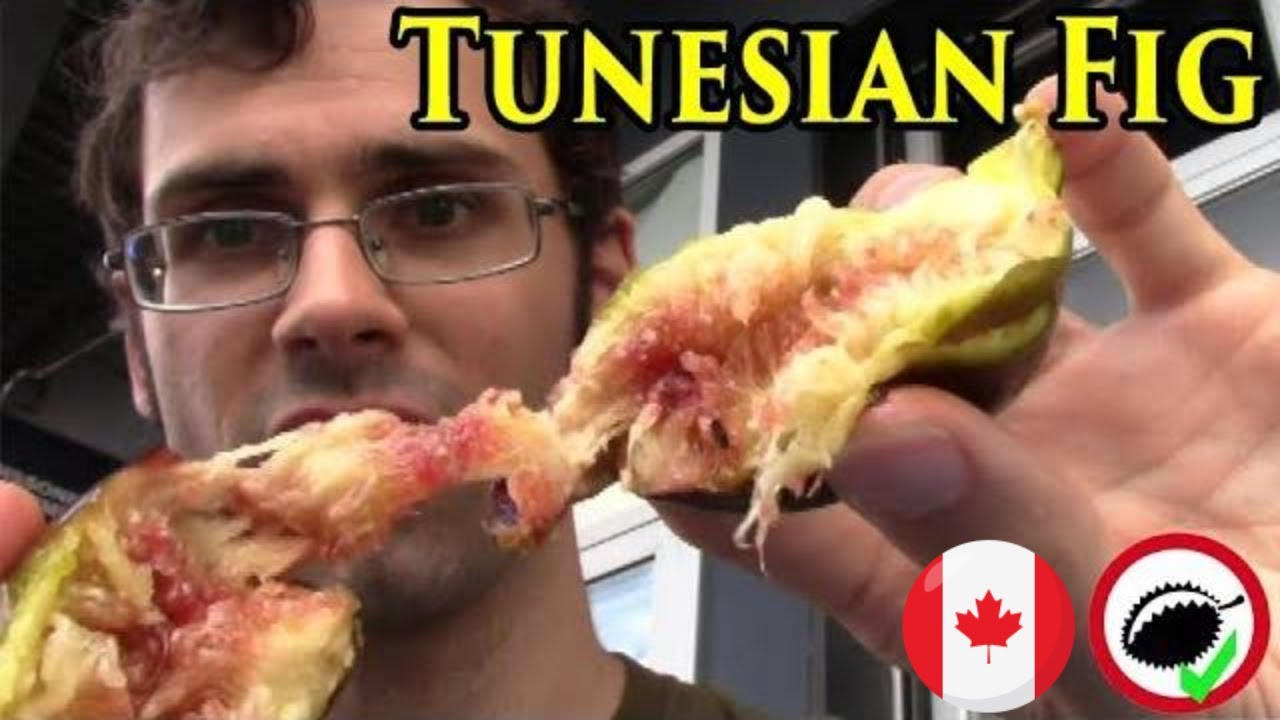 Tunisian Fig Review at a Historic Market in Montreal - Weird Fruit Explorer in Montreal - Ep. 330