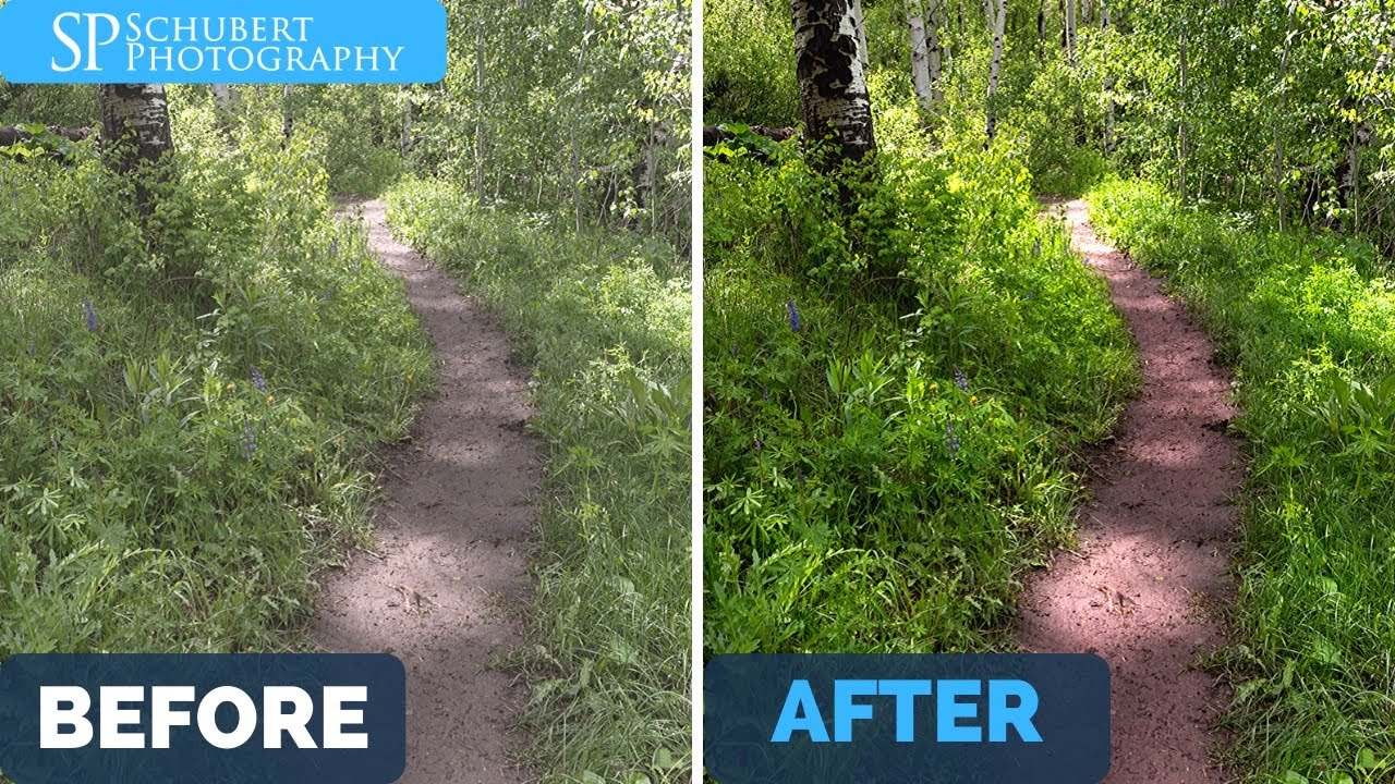 Dodge And Burn Photoshop Images The Easy Way With Lumenzia