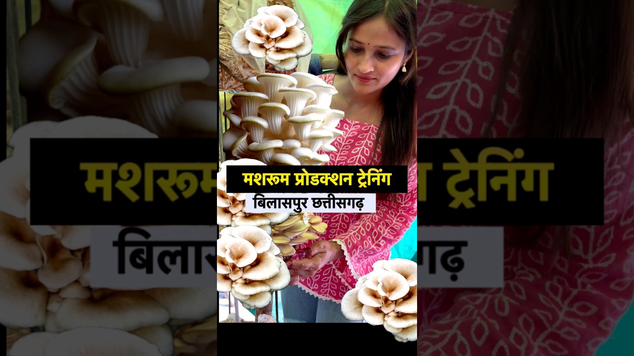 Bilaspur Mushroom Production Lab & Training Center Chhattisgarh
