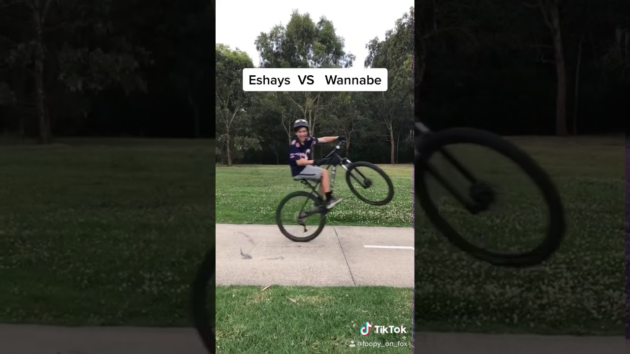 Eshay vs Wannabe