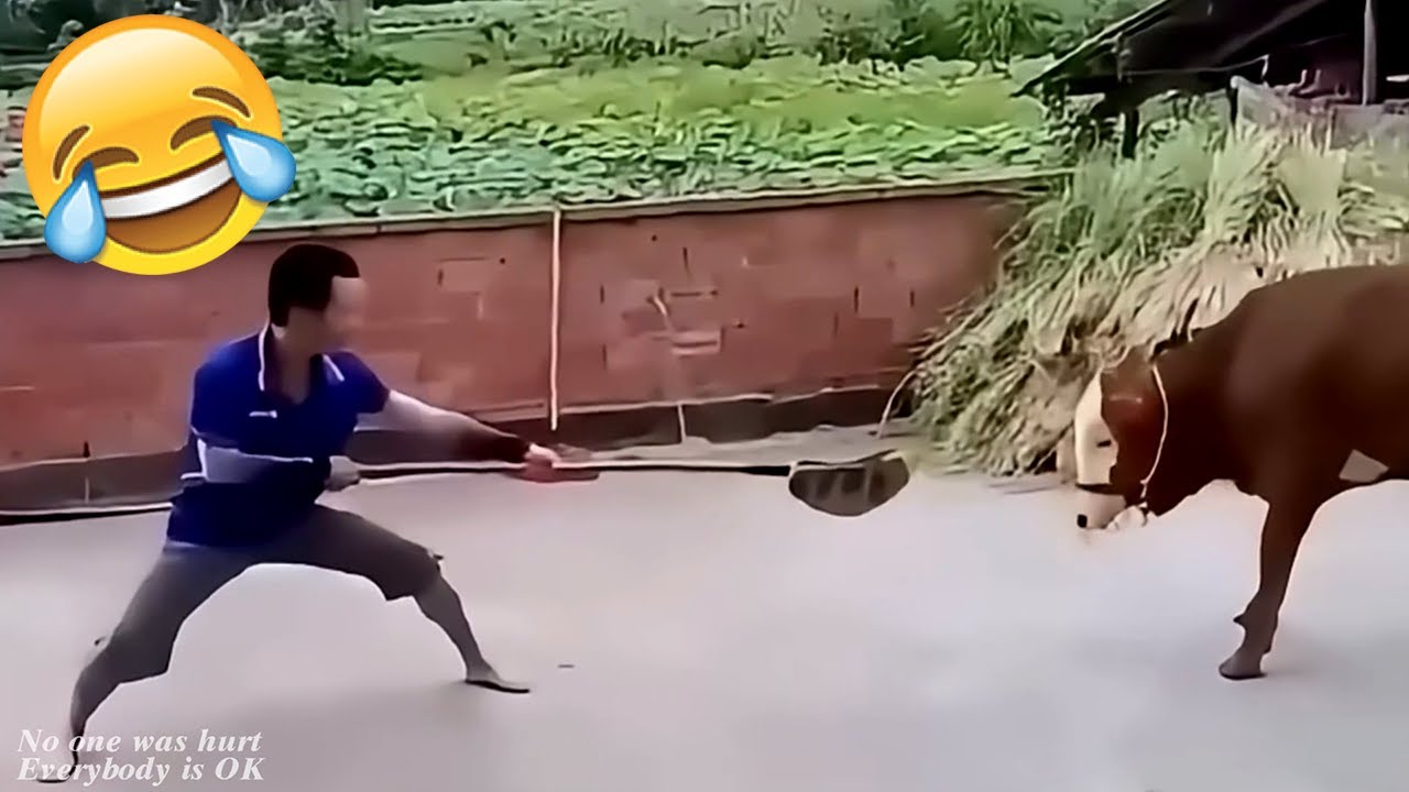 Best Funny Videos Of 2025 😂 TRY NOT TO LAUGH Funny Videos #12 😂